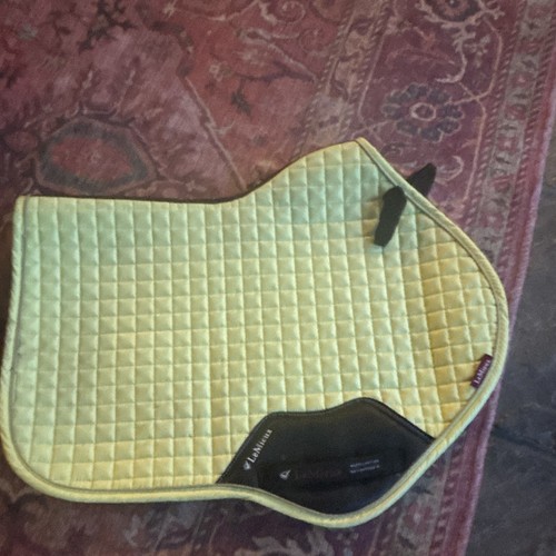 Barely used kiwi - lemieux, gp