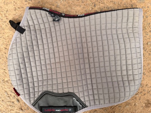 Lemieux prosport horse - prosport, cc