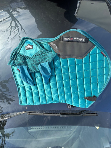 Lemieux prosport teal - lemieux,