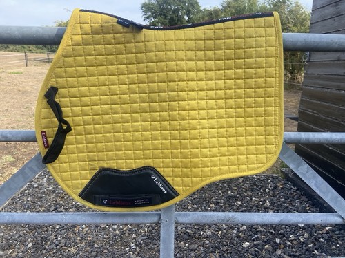 Lemieux dijon saddle pad - lemieux,