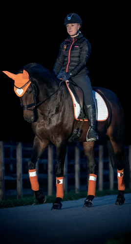 Lemieux prosport viz gp - lemieux,