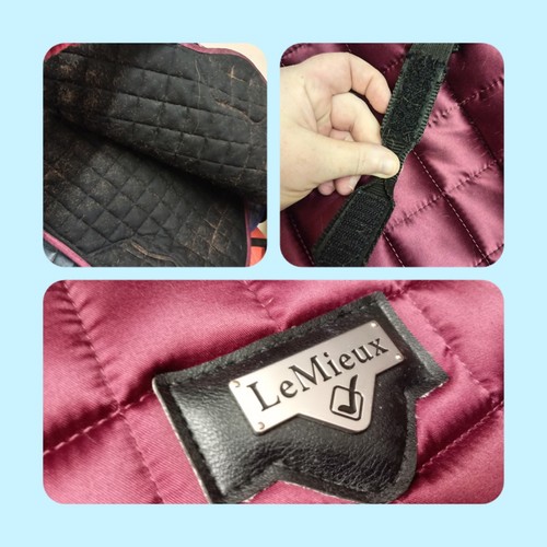 Lemieux loire mulberry - 🐴,