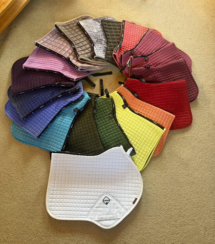 Lemieux saddle pads various - saddle,