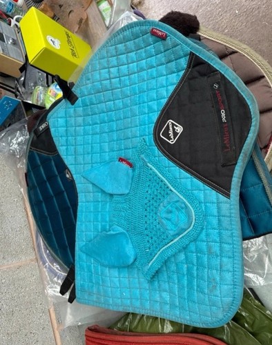 Lemieux azure saddle pad and - lemieux,