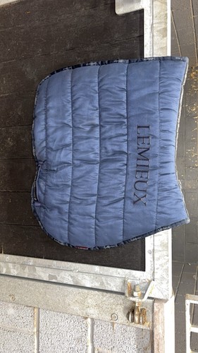 Lemieux exercise saddle pad - exercise,