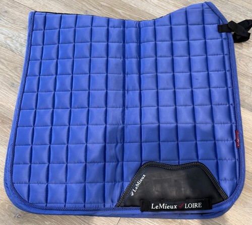 Lemieux bluebell dressage