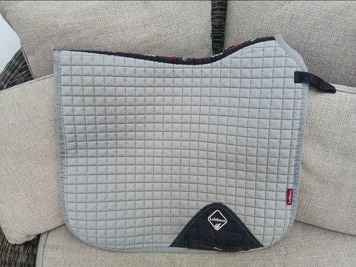 Mieux grey dressage - le,