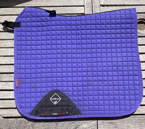 Lemieux blueberry dressage - lemieux,