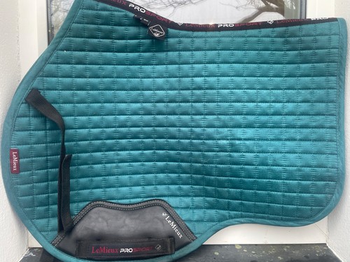 Mieux size saddle pad - le,
