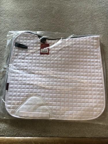 Brand new bag - in, large