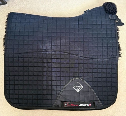 Lemieux merino dressage - lemieux,
