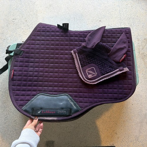 Lemieux saddle pad - pad, ears